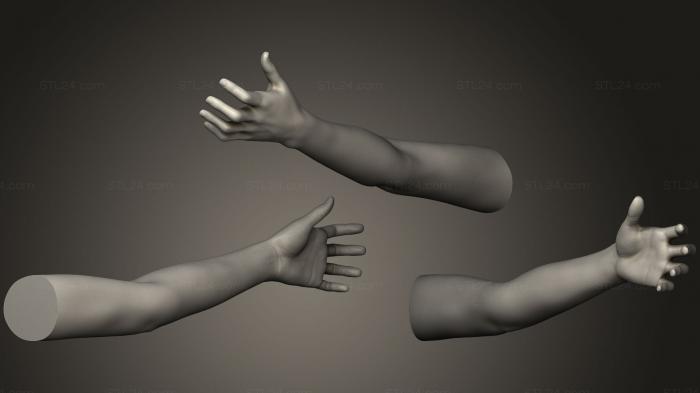 Анатомия скелеты и черепа (Поза Женской Руки 20, ANTM_0430) 3D модель для ЧПУ станка